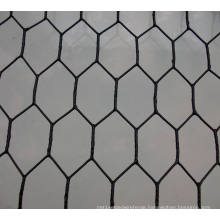 Chicken Wire Mesh/Galvanized & PVC Coated Hexagonal Wire Mesh